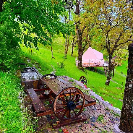 Wild Glamping
